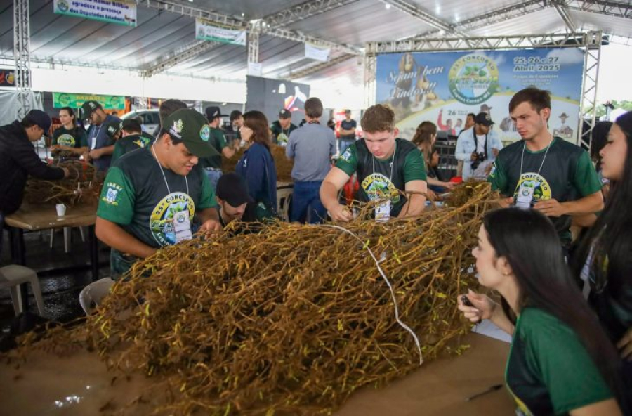 Laguna Carapã realiza o 25º Concurso Pé de Soja e comemora investimentos em infraestrutura